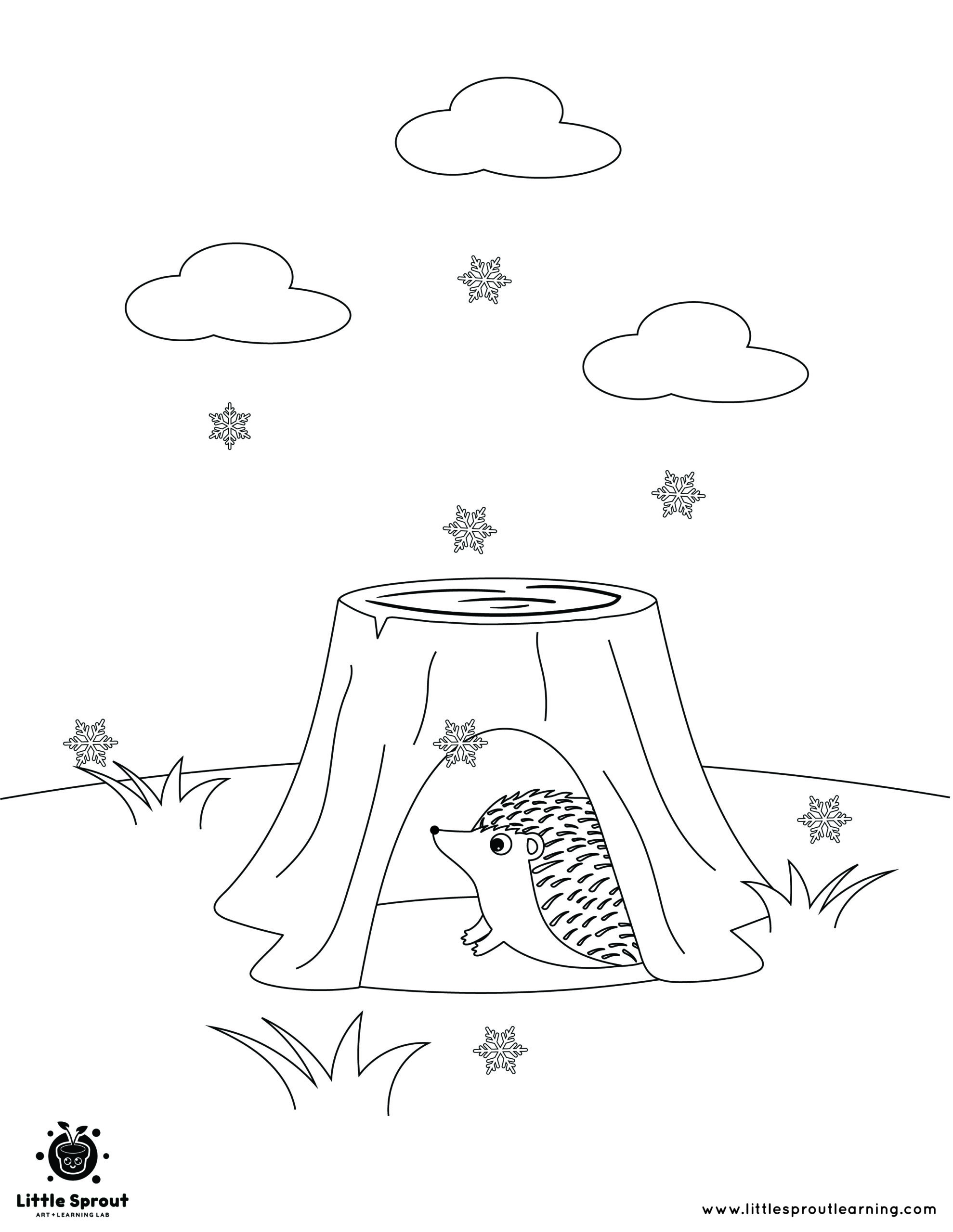 Best hibernating animal coloring pages