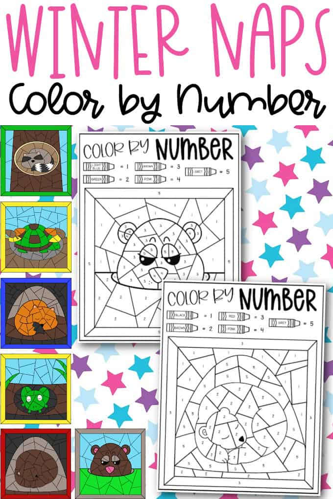 Animals that hibernate preschool color by number fun activity