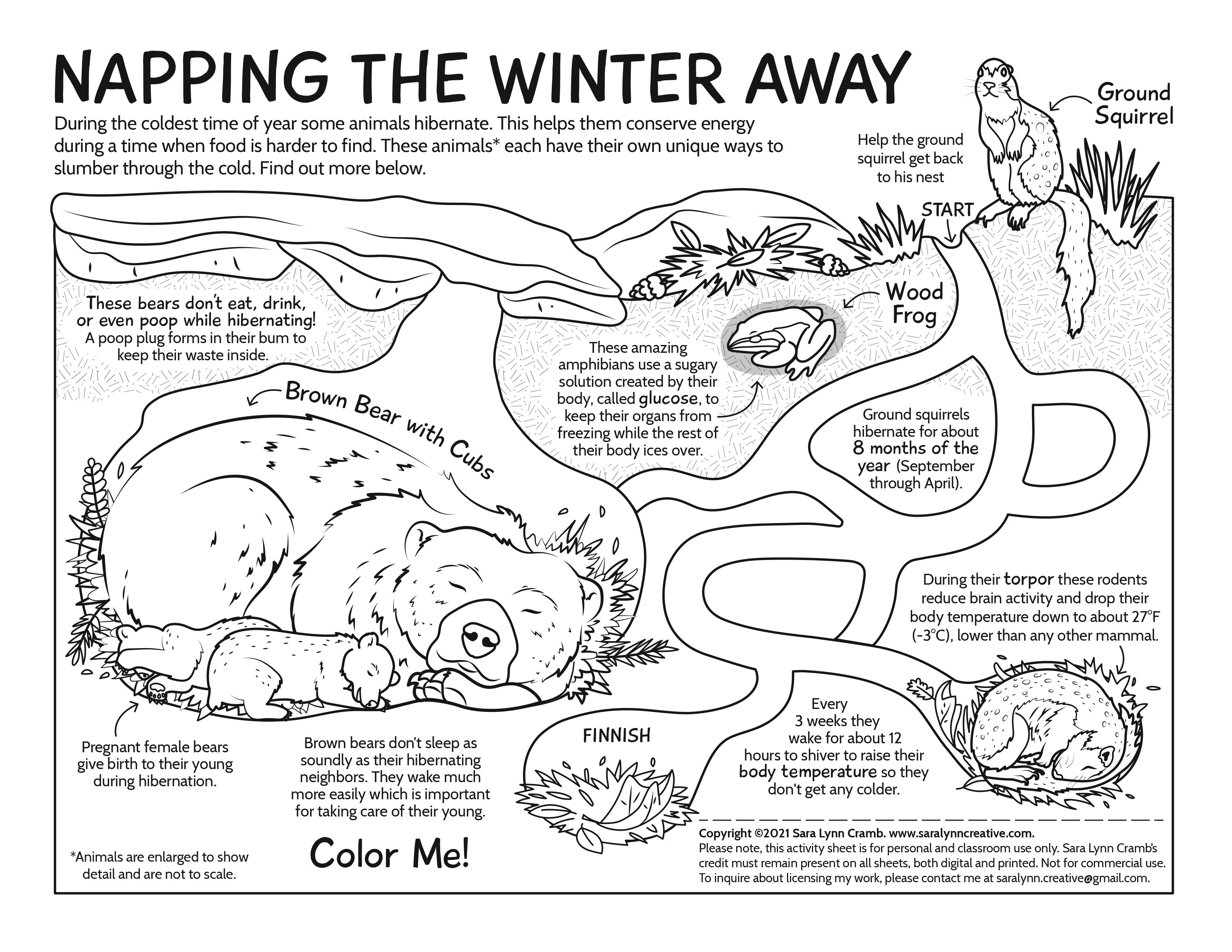 Hibernation coloring page animals that hibernate coloring pages hibernation