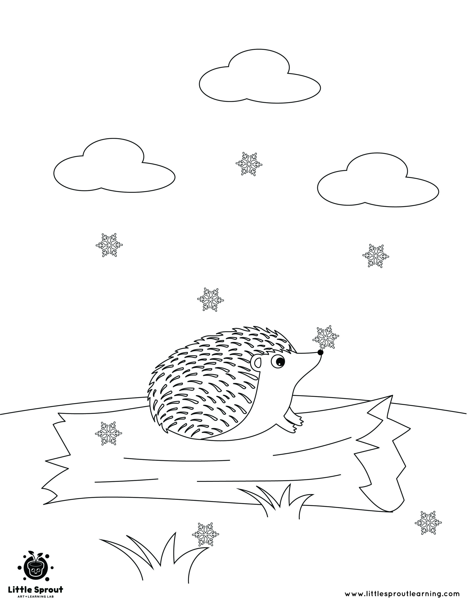 Best hibernating animal coloring pages