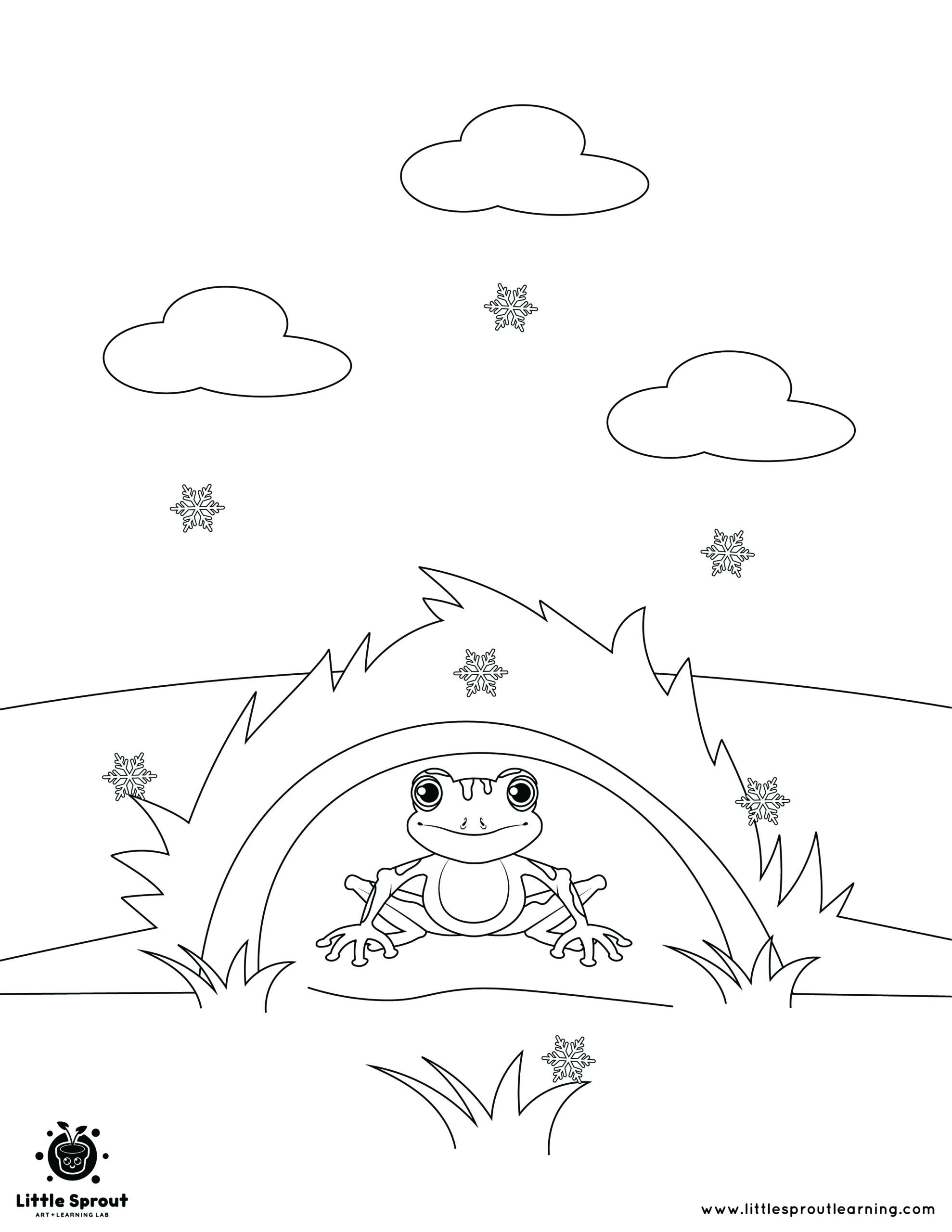 Best hibernating animal coloring pages