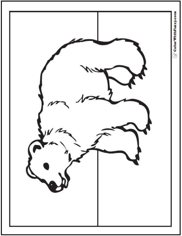 Bear outline coloring page