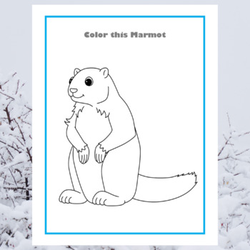 Hibernating animals in winter coloring pages for kids kindergarten