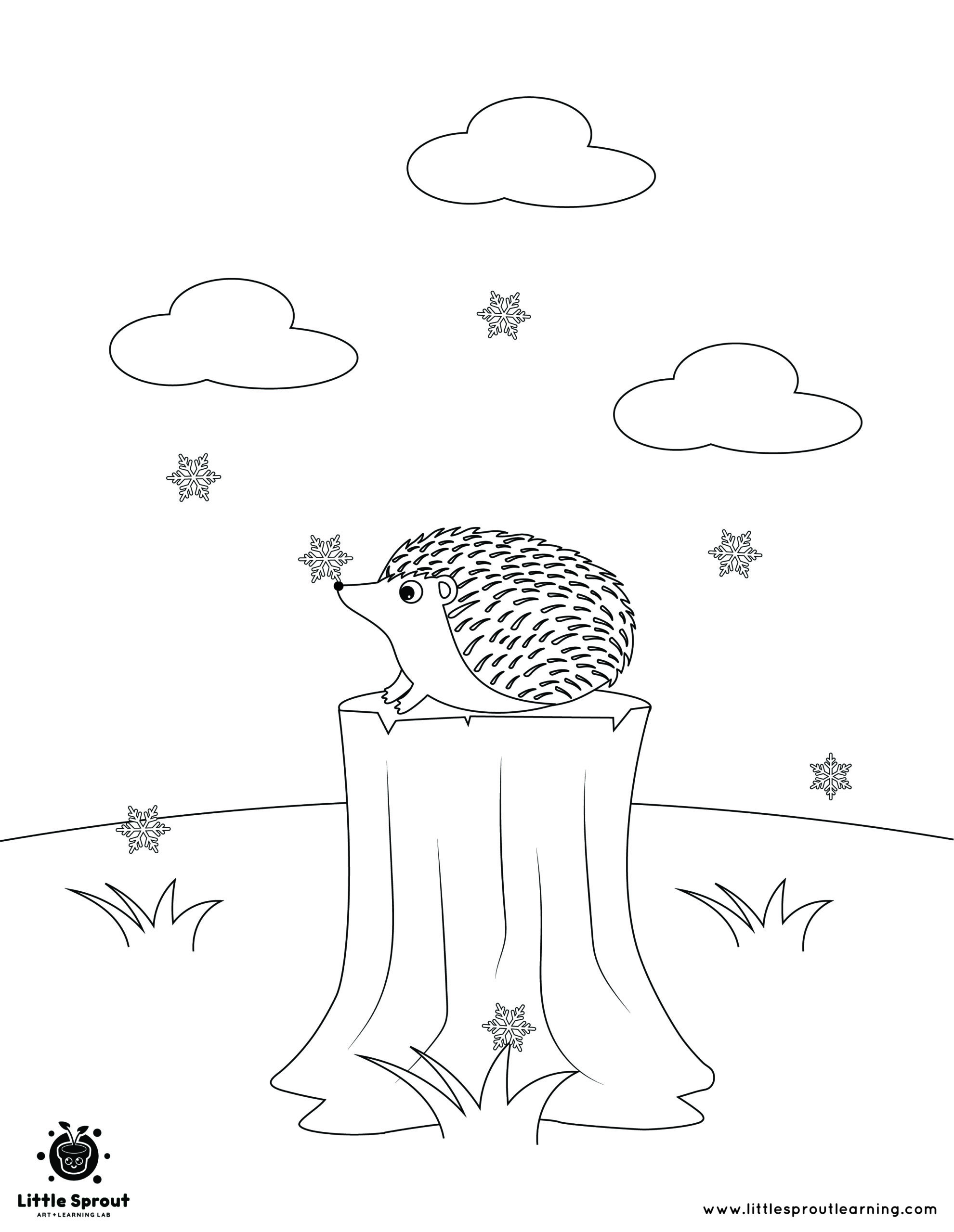 Best hibernating animal coloring pages