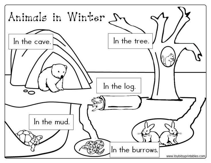 Pin by michele duggan on preschool work hibernating animals preschool hibernation preschool activities hibernation preschool crafts