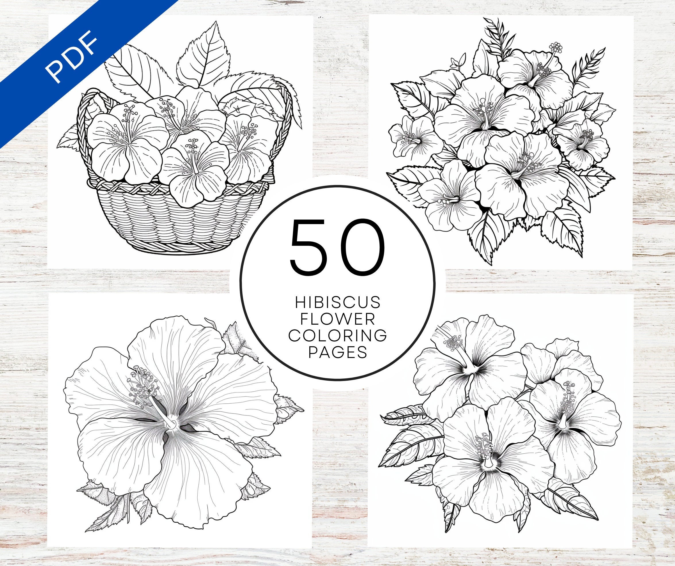 Kdp interior hibiscus flower coloring pages for adults x pdf canva template floral coloring sheets for stress relief