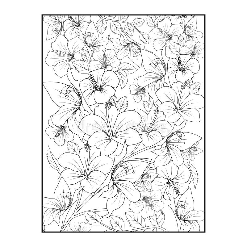 Hibiscus flower line art hibiscus flowe coloring pages for adults stock vector