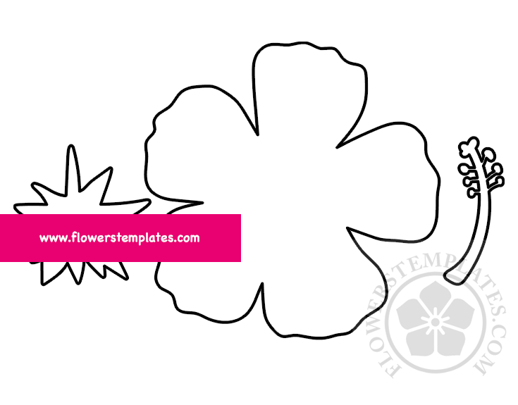 Printable hibiscus par flower template
