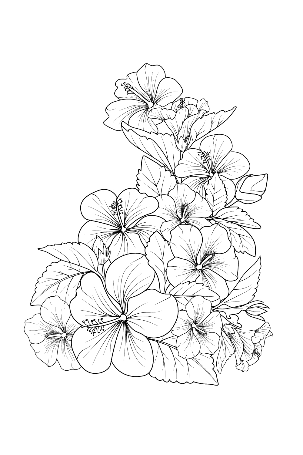 Hibiscus flowers illustration coloring page simplicity embellishment monochrome rose vector art