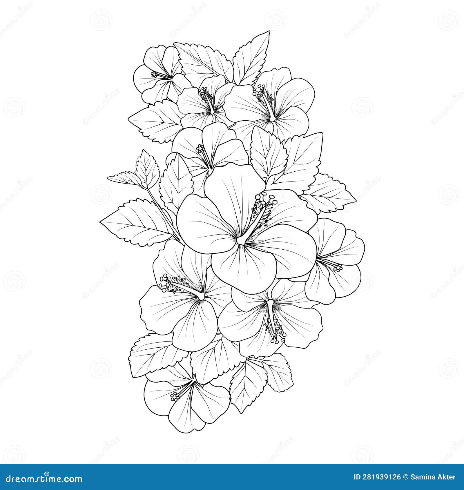 Printable hibiscus flower coloring pages hawaiian hibiscus flower coloring pageshibiscus flower drawing stock vector