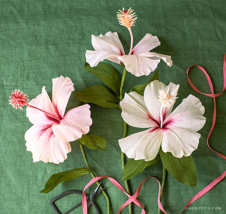 May member make crepe paper hibiscus flowers