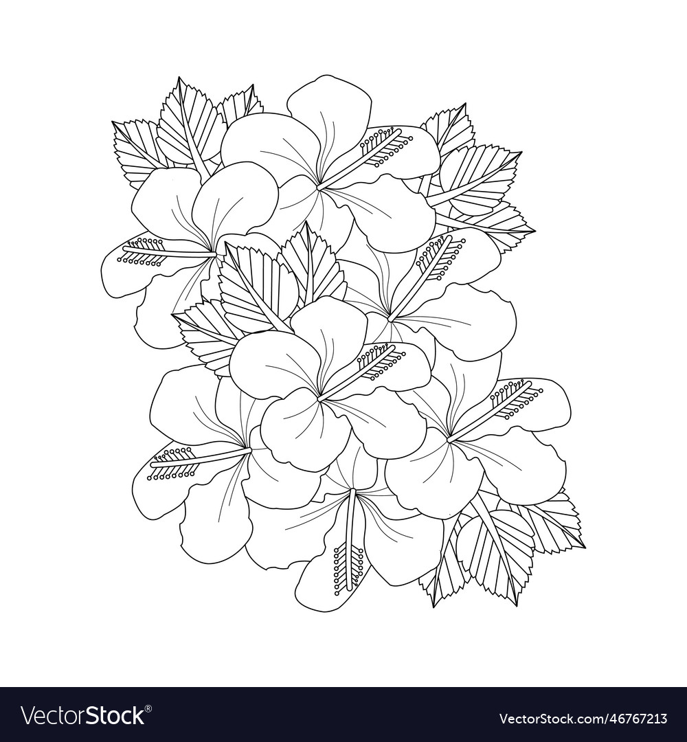 Hibiscus flower coloring page hand royalty free vector image