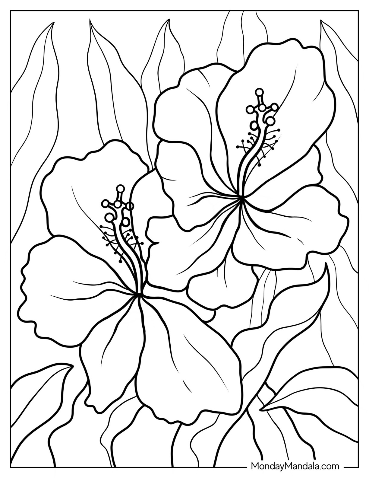 Flower coloring pages free pdf printables