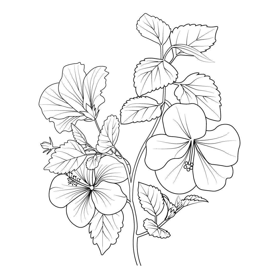 Flower coloring page and books hand