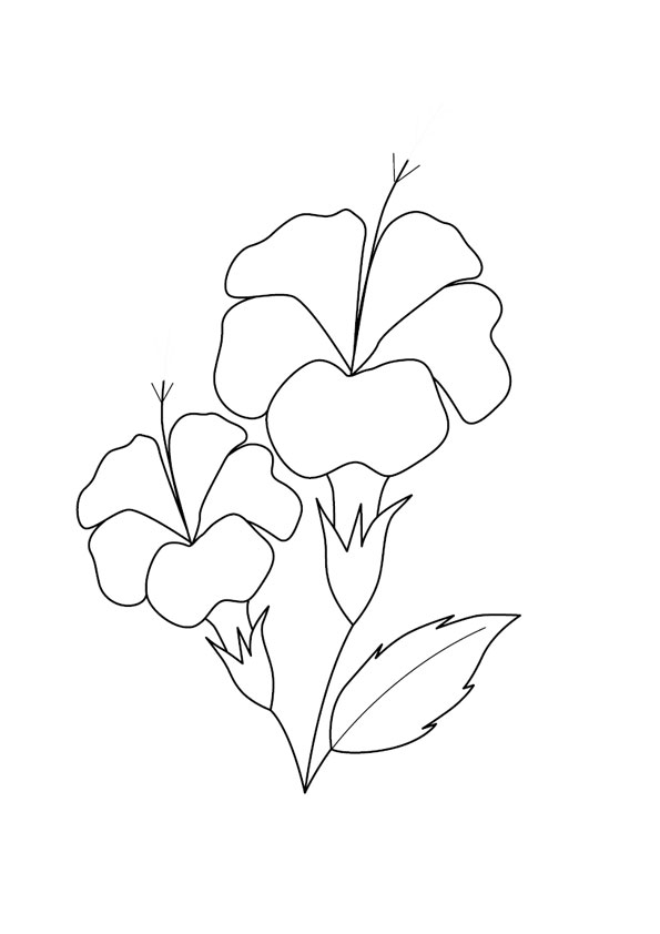 Coloring pages printable hibiscus flower coloring pages
