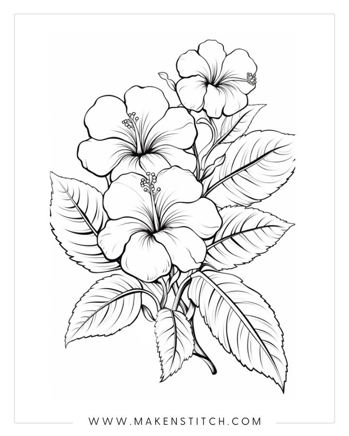 Flower coloring pages for kids and adults free printables