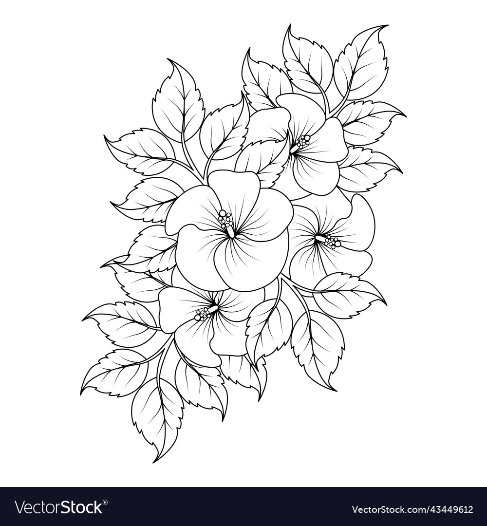 Hibiscus flower coloring page with line art vector image