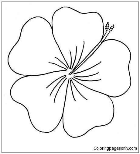 Hibiscus from moana disney coloring page hawaiian flower drawing embroidery patterns free flower drawing