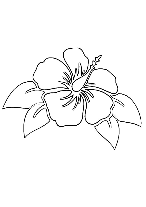 Coloring pages printable hibiscus coloring pages for kids