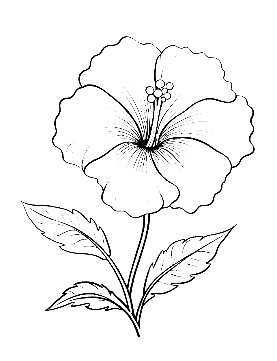 Flower coloring pages free printable sheets