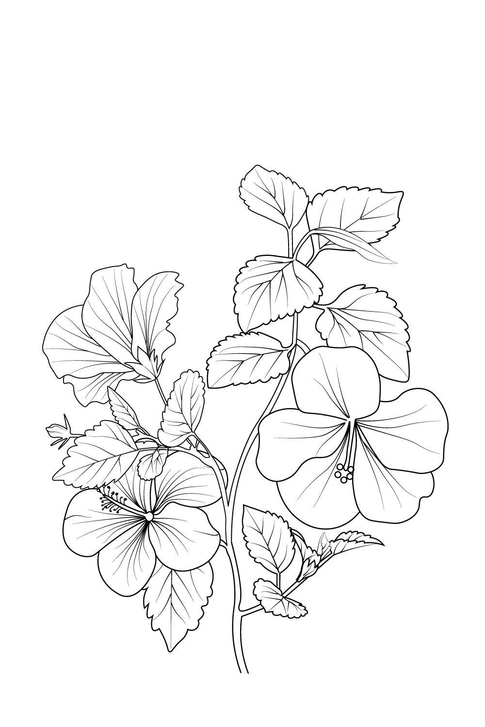 Flower coloring page and books hand