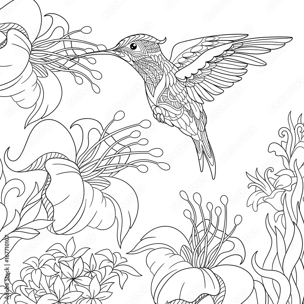Coloring page of hummingbird and hibiscus flowers freehand sketch drawing for adult antistress colouring book with doodle and zentangle elements vector