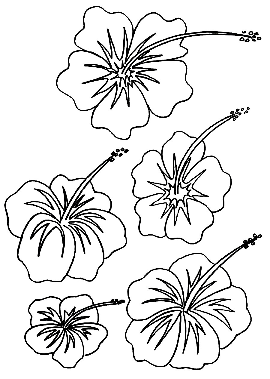 Free printable hibiscus coloring pages for kids