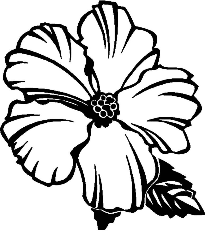 Free printable hibiscus coloring pages for kids printable flower coloring pages flower coloring pages printable coloring pages