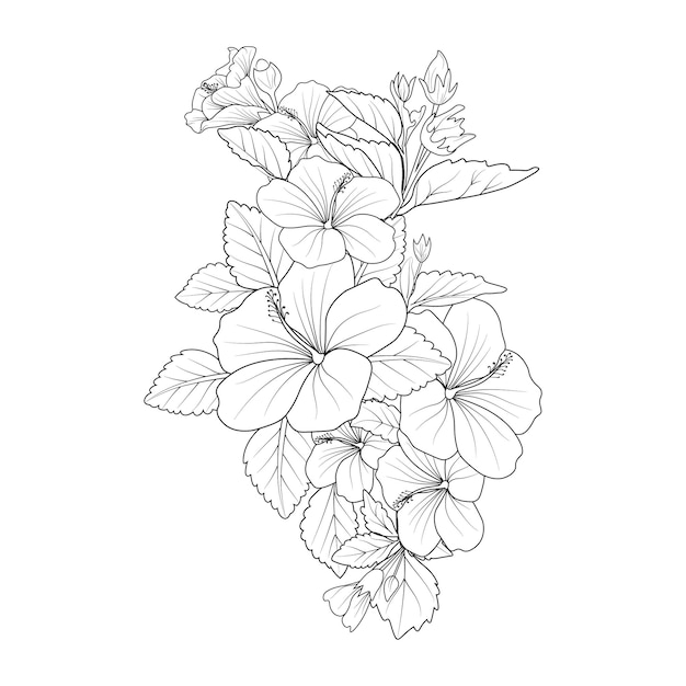 Premium vector illustration of a hibiscus flower branch botanical collection coloring page isolated on white