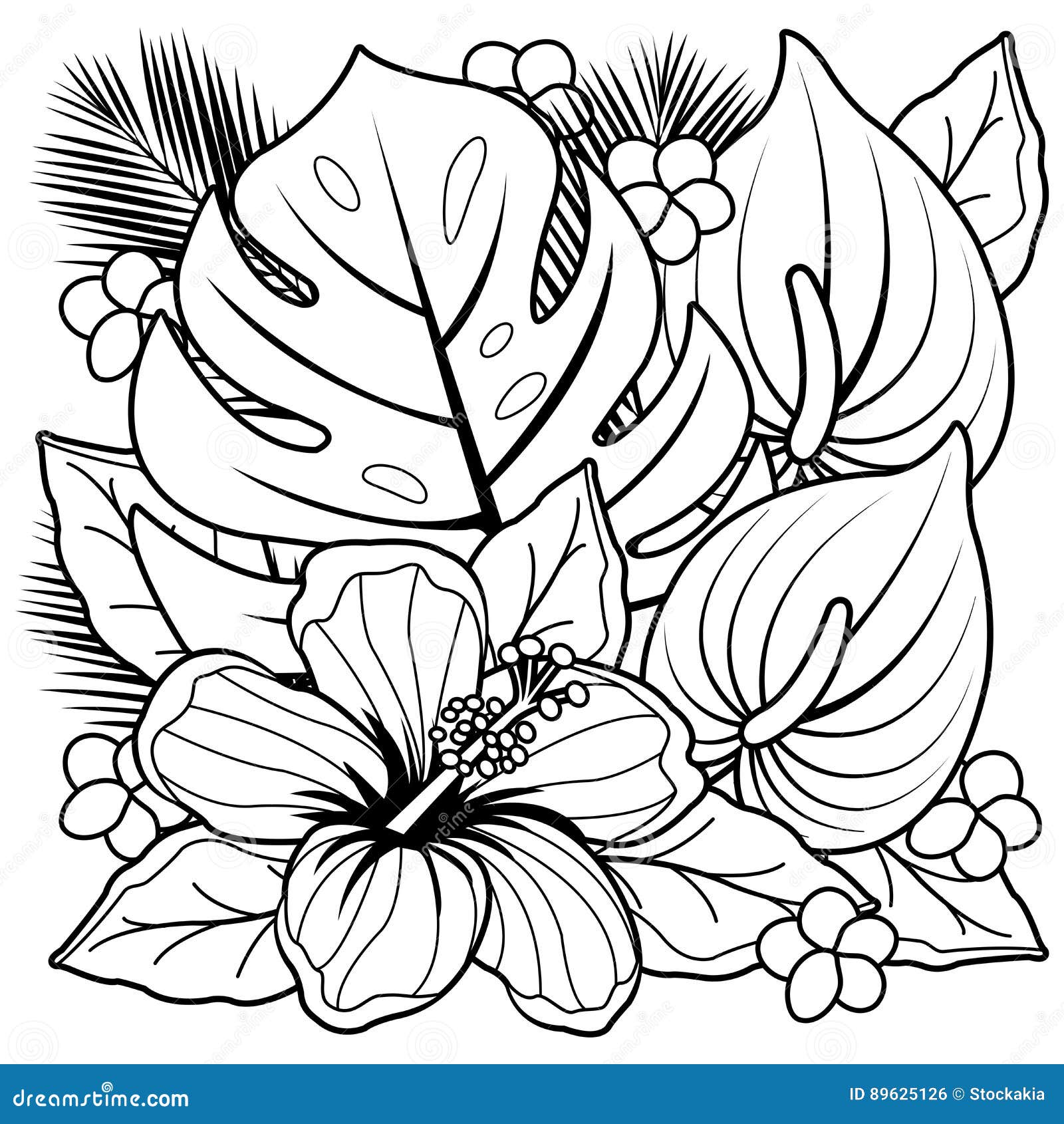 Hibiscus coloring stock illustrations â hibiscus coloring stock illustrations vectors clipart