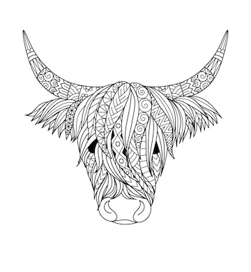 Premium vector highland cow design for coloring bookcoloring page t shirt design and so on vector illustration