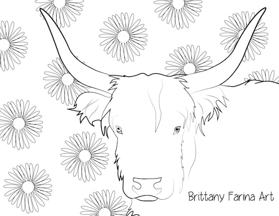 Cow cow coloring page