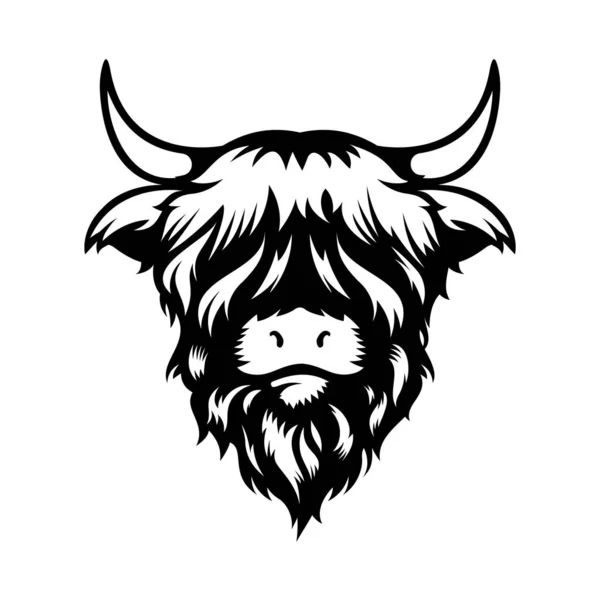 Highland cow vector images