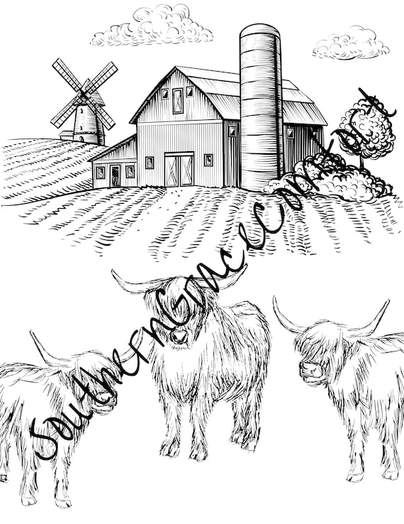 Printable highland cows coloring sheet cattle coloring page instant download