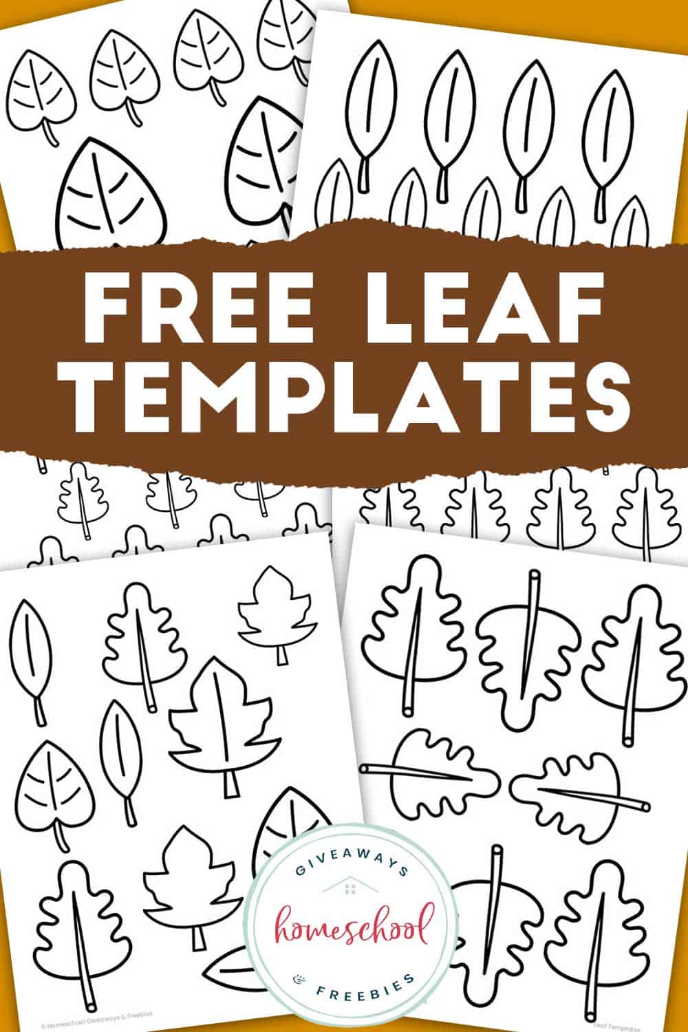 Printable leaf templates for learning about leaves