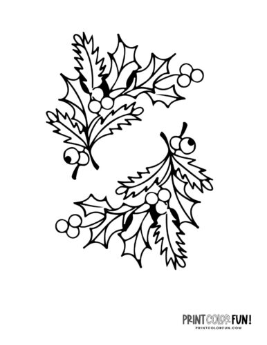 Holly clipart coloring pages for festive christmas crafting fun at