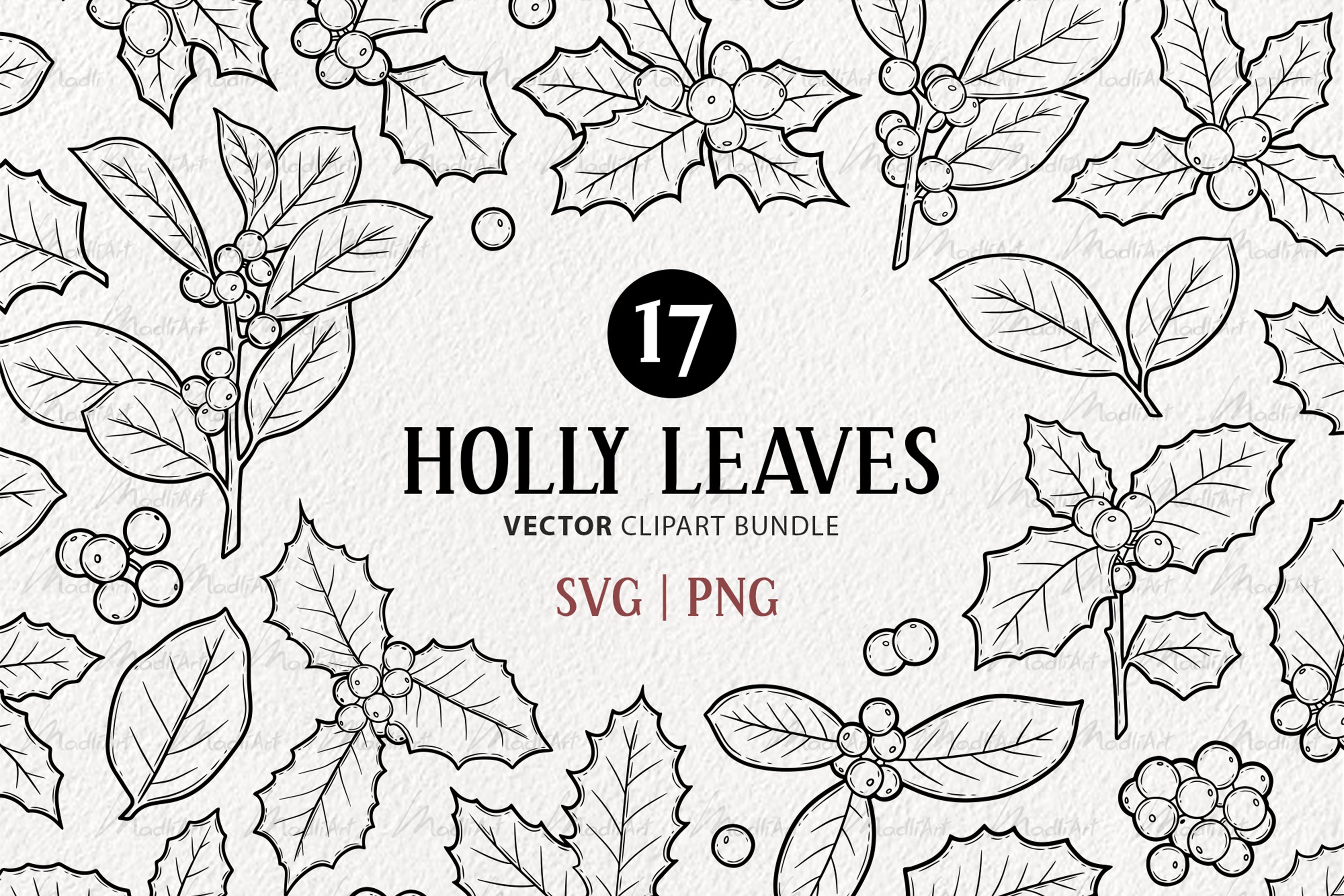 Holly leaves vector clipart christmas plant leaf svg