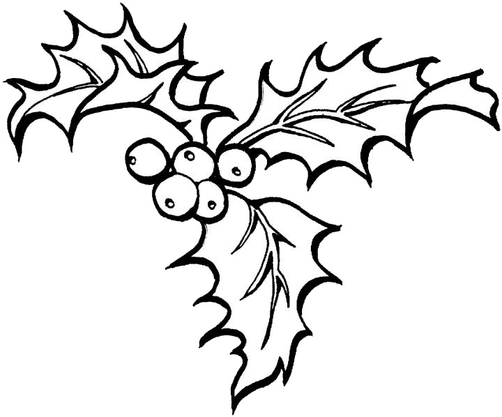 Holly coloring pages