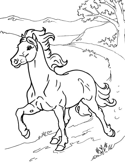 Coloring pages