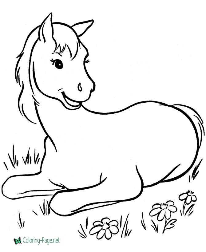 Horse coloring pages