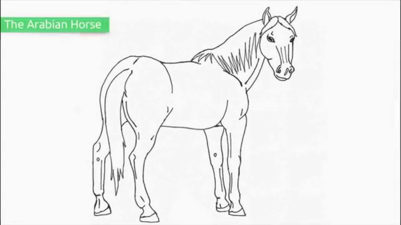 Top free printable horse coloring pages