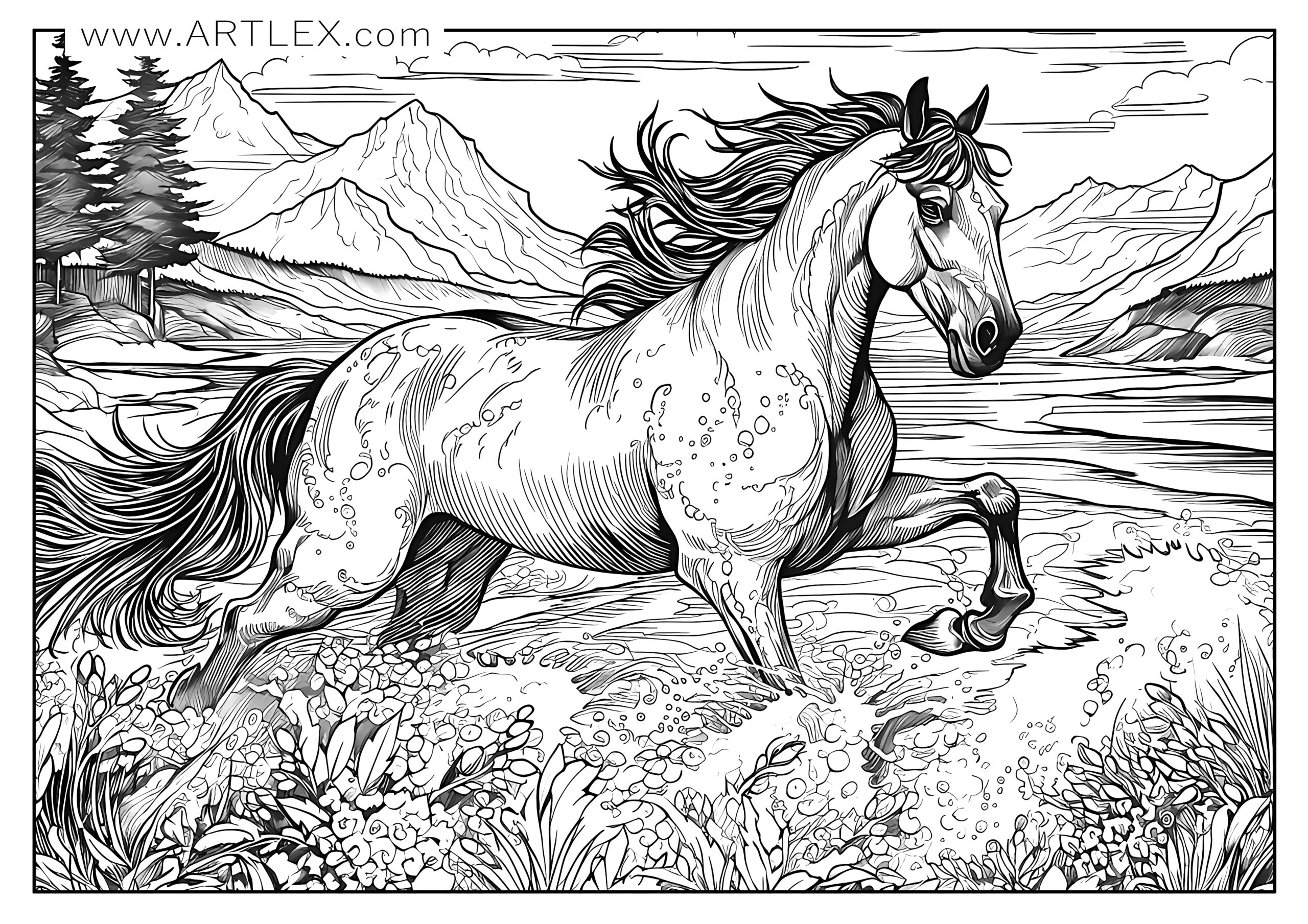 Best horses coloring pages free printable â