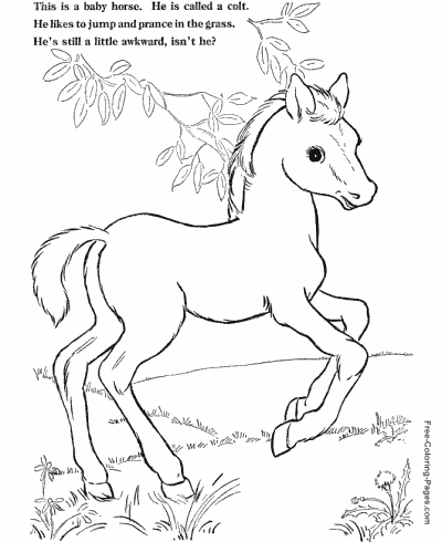 Horse coloring pages sheets and pictures