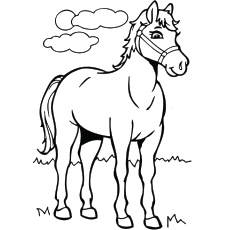 Top free printable horse coloring pages online