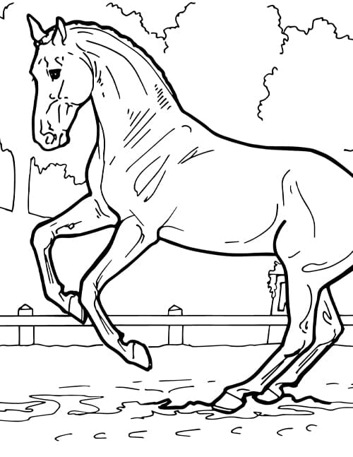 Coloring pages