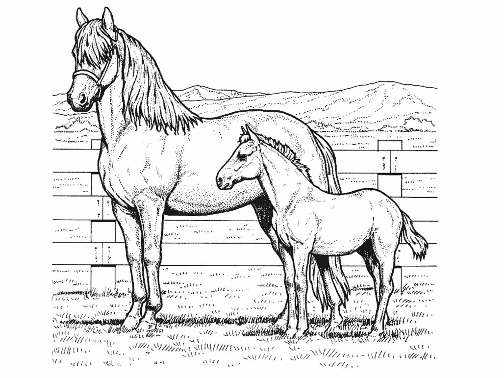 Free printable horse coloring pages for kids