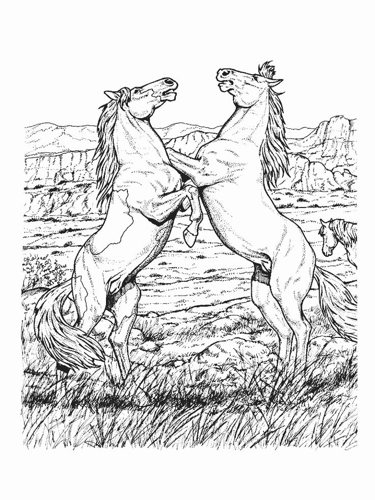 Horse coloring pages horse coloring pages horse coloring books horse adult coloring