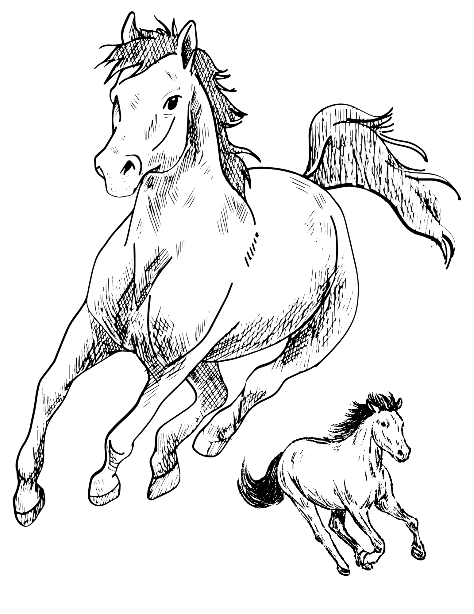 Free printable horse coloring pages