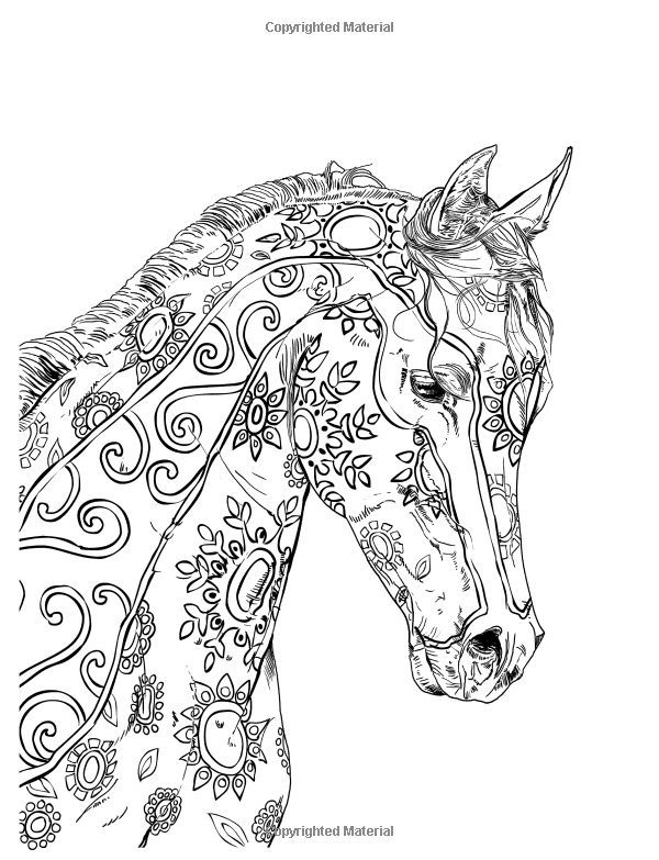 The amazing world of horses adult coloring book volume horse coloring pages horse coloring books horse coloring