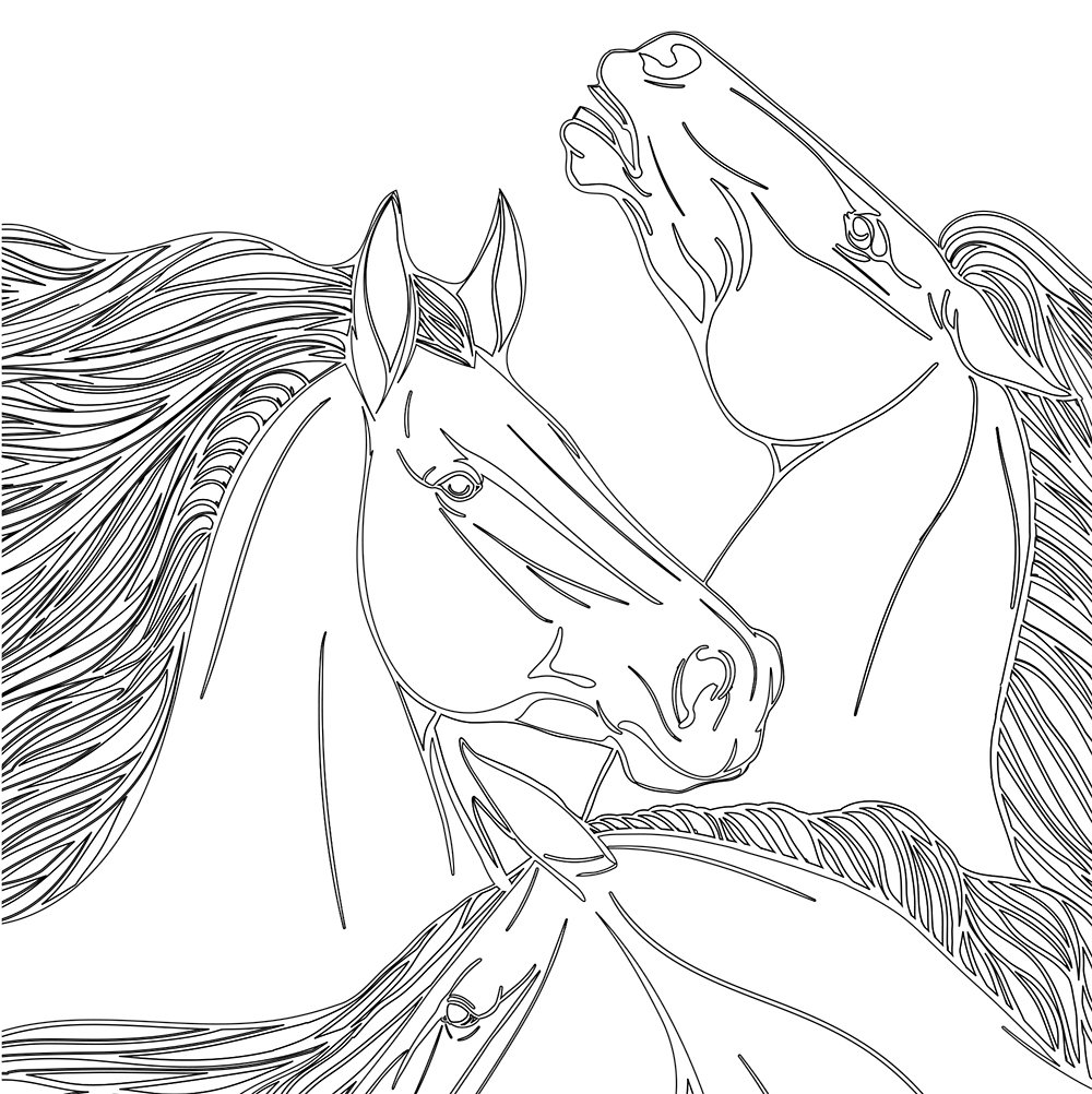 Horse coloring pages for adults